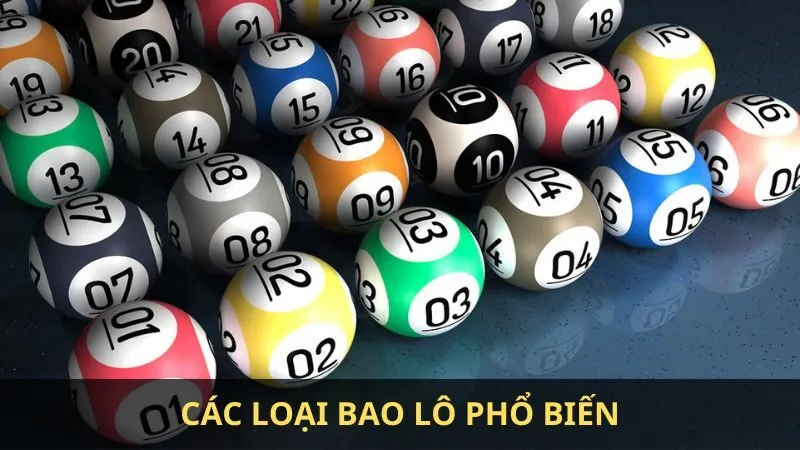 Bao lô là gì