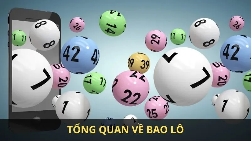 Bao lô là gì