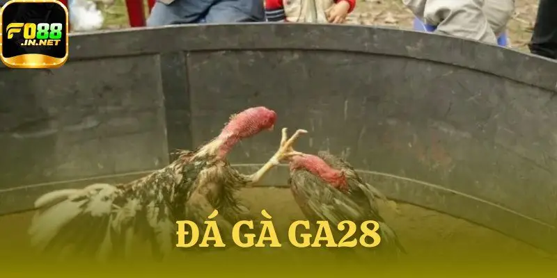 Đá gà GA28